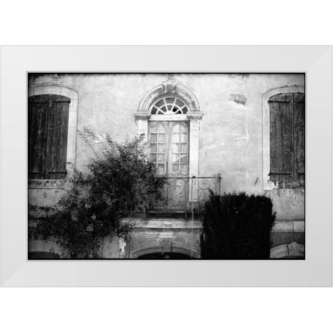 Provence White Modern Wood Framed Art Print by OMara, James