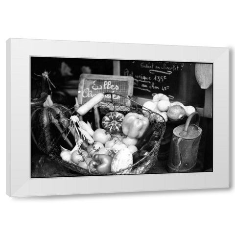 Provence White Modern Wood Framed Art Print by OMara, James