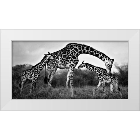 Giraffe Family White Modern Wood Framed Art Print by Ortega, Xavier