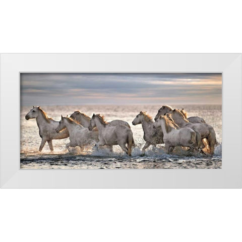 Running Horses White Modern Wood Framed Art Print by Ortega, Xavier