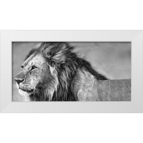 Lion Eyes White Modern Wood Framed Art Print by Ortega, Xavier