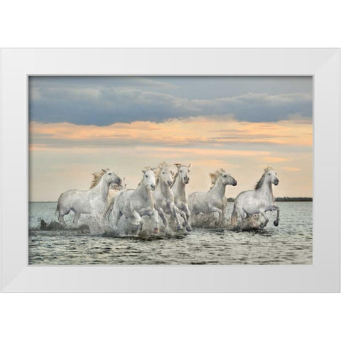 Camargue Horses - France White Modern Wood Framed Art Print by Ortega, Xavier