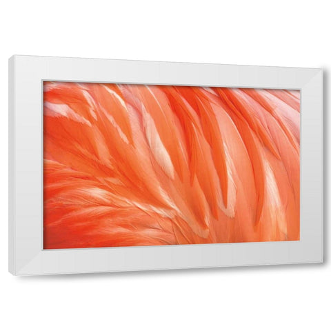 Danza de la Pluma White Modern Wood Framed Art Print by Ortega, Xavier