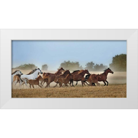 Freedom White Modern Wood Framed Art Print by Ortega, Xavier