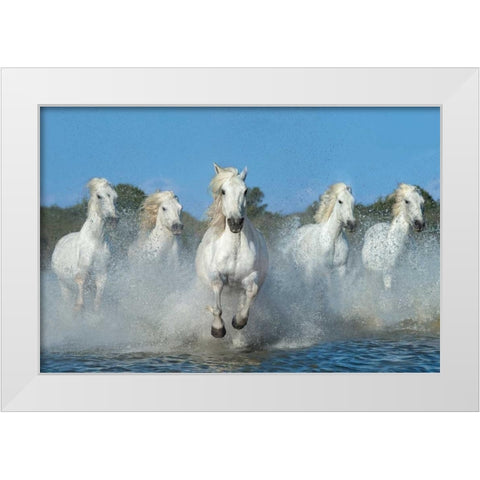 The Beautiful Five White Modern Wood Framed Art Print by Ortega, Xavier