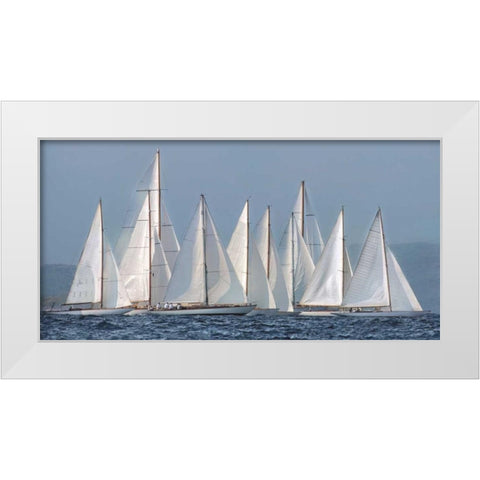 Sailing Team White Modern Wood Framed Art Print by Ortega, Xavier