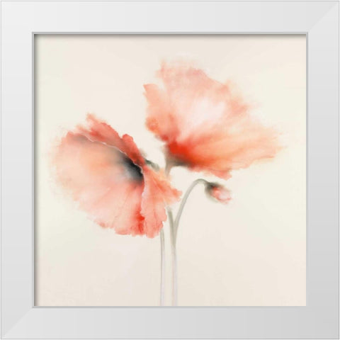 Pink Chiffon I White Modern Wood Framed Art Print by Prior, J.P.