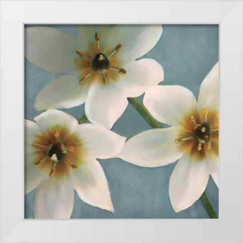Lily Parfait I White Modern Wood Framed Art Print by Pahl, Janel