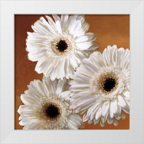 Gerber Delight II White Modern Wood Framed Art Print by Pahl, Janel