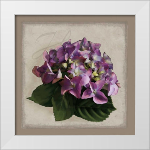 Botanical Hydrenga White Modern Wood Framed Art Print by Pahl, Janel