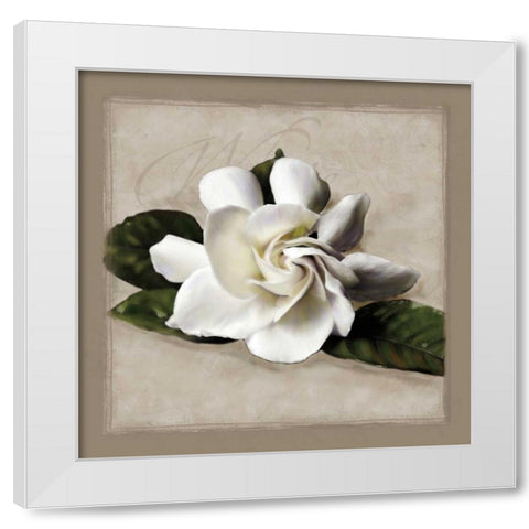 Botanical Gardenia White Modern Wood Framed Art Print by Pahl, Janel