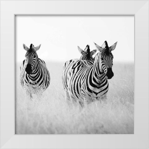 Rendezvous I White Modern Wood Framed Art Print by Papiorek, Nina