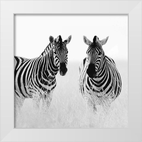 Rendezvous II White Modern Wood Framed Art Print by Papiorek, Nina