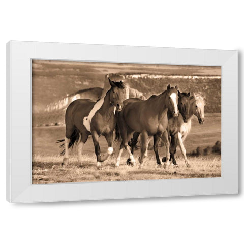 Morning Stroll White Modern Wood Framed Art Print by Caro, Wendy