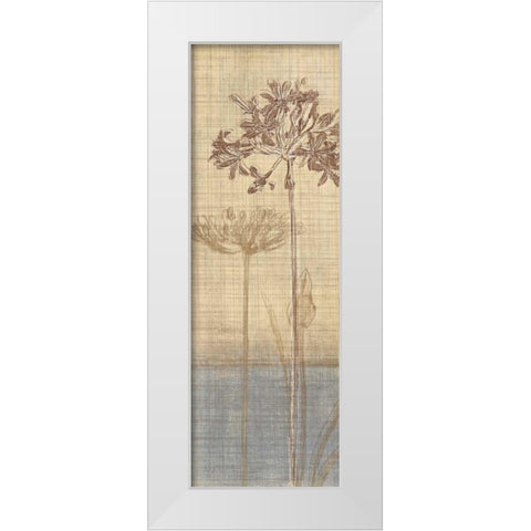 Botanical Sketchbook II White Modern Wood Framed Art Print by Venter, Tandi