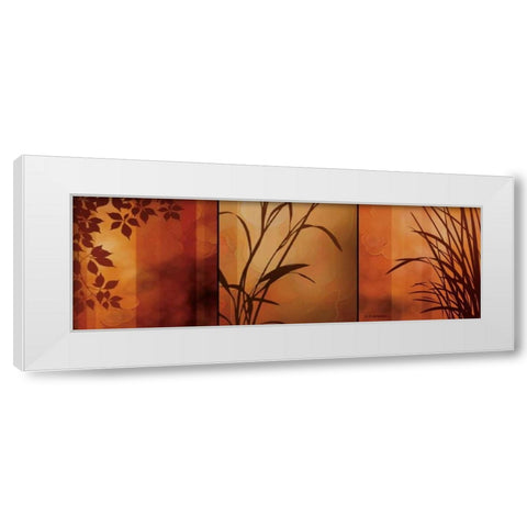 Views of Nature II White Modern Wood Framed Art Print by Aparicio, Edward