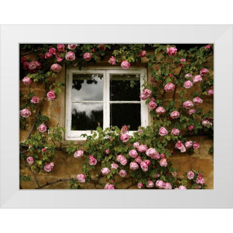 Costwalds Rose White Modern Wood Framed Art Print by Pahl, Janel