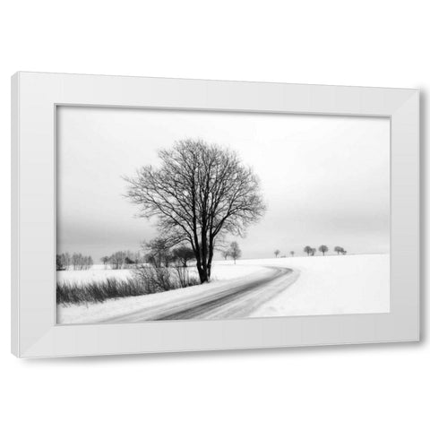 The Way Home White Modern Wood Framed Art Print by Szilagyi, lly
