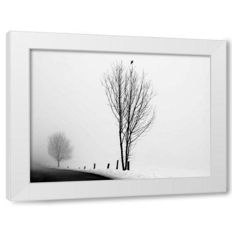 The Messenger White Modern Wood Framed Art Print by Szilagyi, lly