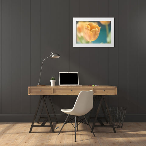 Delightful White Modern Wood Framed Art Print by Marie, Dina