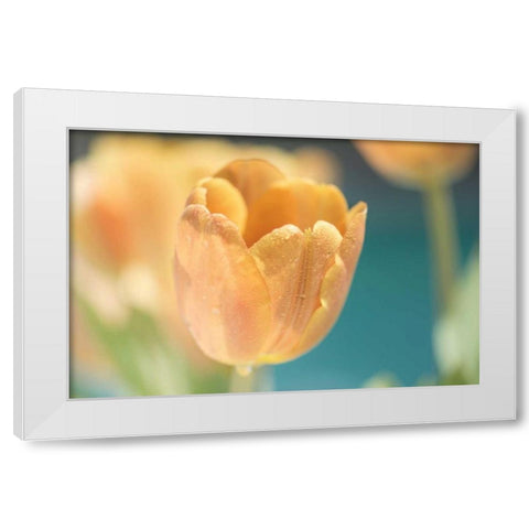 Delightful White Modern Wood Framed Art Print by Marie, Dina