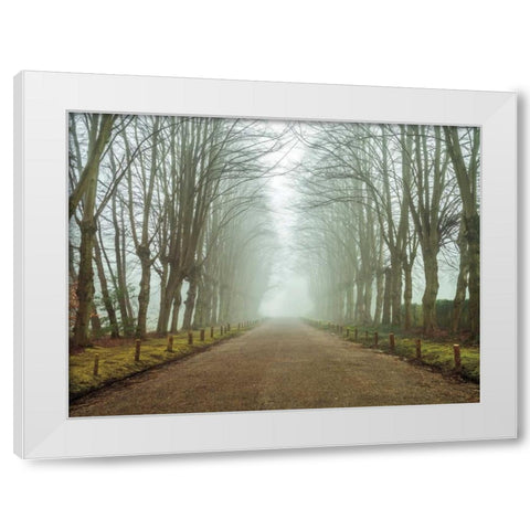 Dreamscape Wonder White Modern Wood Framed Art Print by Frank, Assaf