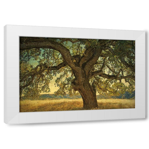 Blue Oak Silhouette White Modern Wood Framed Art Print by Guion, William