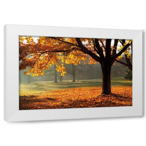 Autumn White Modern Wood Framed Art Print by Jones, Mike