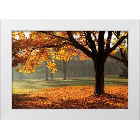 Autumn White Modern Wood Framed Art Print by Jones, Mike