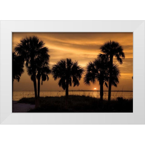 Tropical Park Sunset White Modern Wood Framed Art Print by Jones, Mike