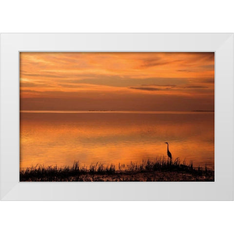 Crystal Beach Sunset White Modern Wood Framed Art Print by Jones, Mike