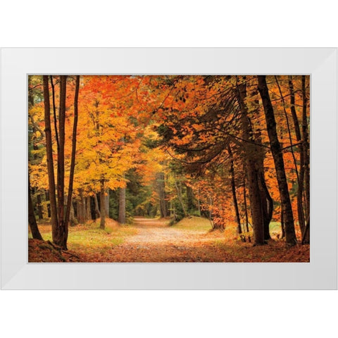 Autumn Walk White Modern Wood Framed Art Print by Jones, Mike