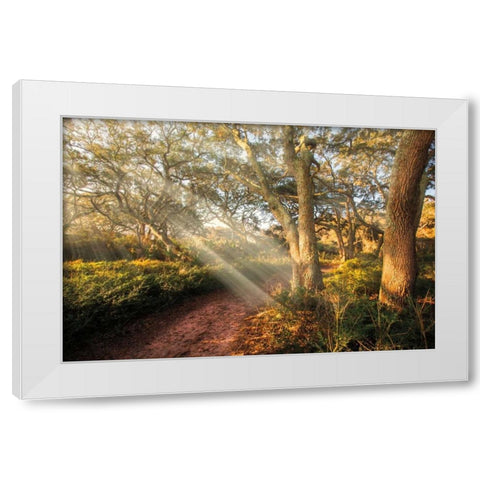 Inspiration White Modern Wood Framed Art Print by Celebrate Life Gallery