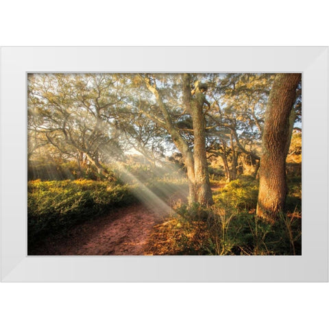 Inspiration White Modern Wood Framed Art Print by Celebrate Life Gallery