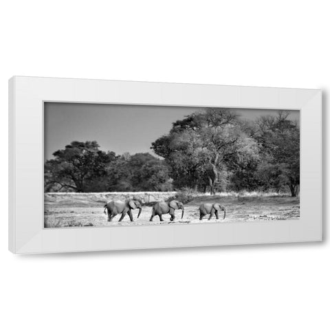 Follow The Leader White Modern Wood Framed Art Print by Ortega, Xavier