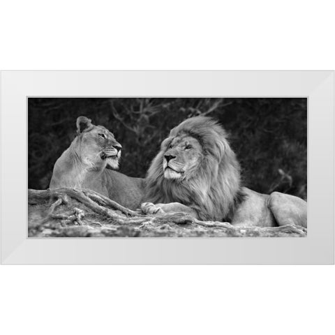 Love White Modern Wood Framed Art Print by Ortega, Xavier