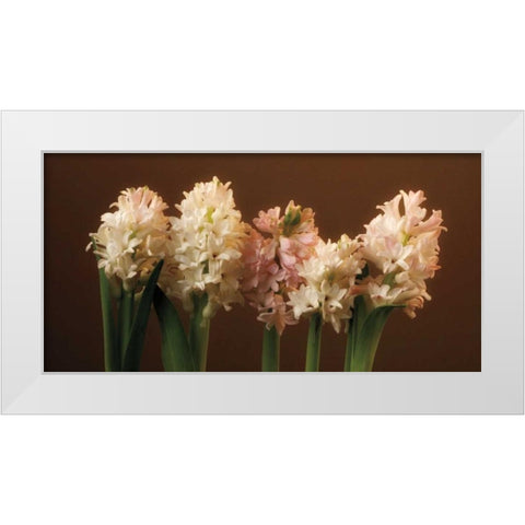 Garden Blooms White Modern Wood Framed Art Print by Pahl, Janel