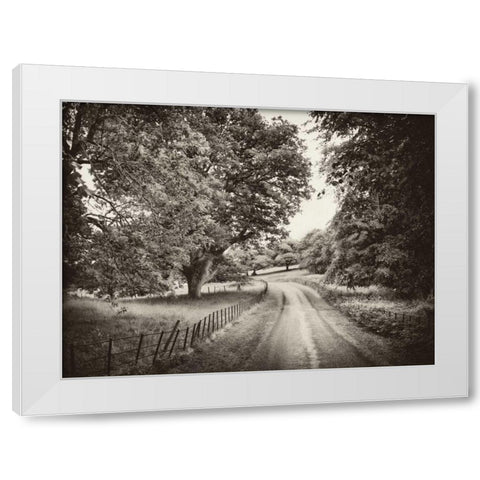 Country Roads White Modern Wood Framed Art Print by Pahl, Janel