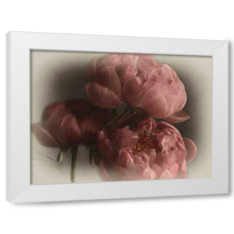 Heavenly White Modern Wood Framed Art Print by Pahl, Janel