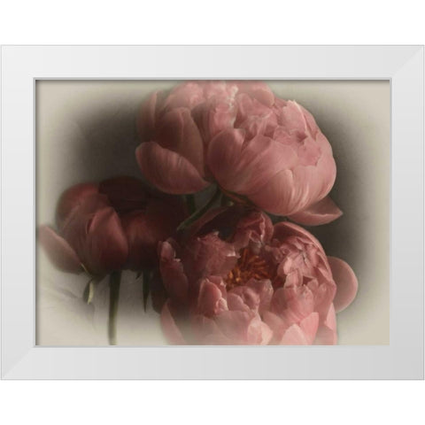 Heavenly White Modern Wood Framed Art Print by Pahl, Janel