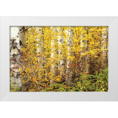 Hiding White Modern Wood Framed Art Print by Pahl, Janel