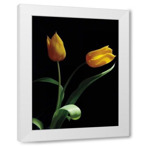 Trust White Modern Wood Framed Art Print by Szilagyi, Ily