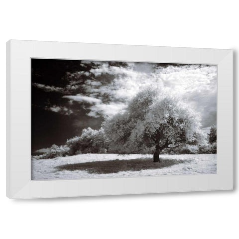 Peace White Modern Wood Framed Art Print by Szilagyi, Ily