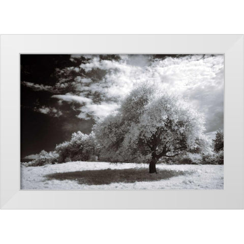 Peace White Modern Wood Framed Art Print by Szilagyi, Ily