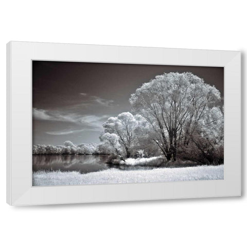 And Quiet White Modern Wood Framed Art Print by Szilagyi, Ily