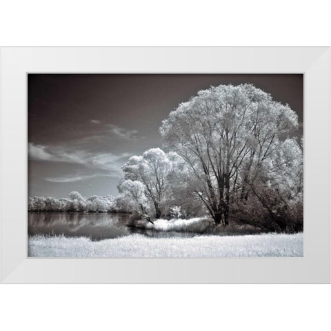 And Quiet White Modern Wood Framed Art Print by Szilagyi, Ily