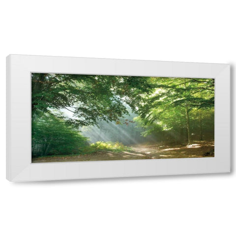 Morning Break White Modern Wood Framed Art Print by Vila, Toni