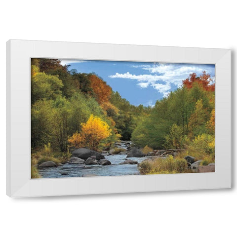 Near Perfect Day White Modern Wood Framed Art Print by Jones, Mike