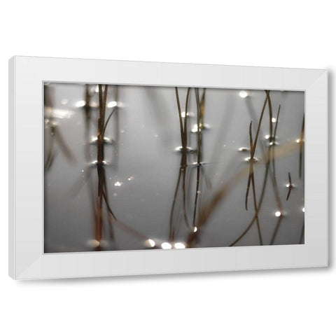 Still Waters White Modern Wood Framed Art Print by Frank, Assaf