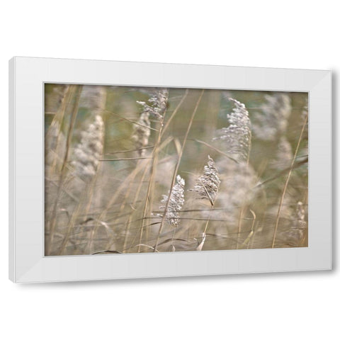 Wind Blown White Modern Wood Framed Art Print by Frank, Assaf